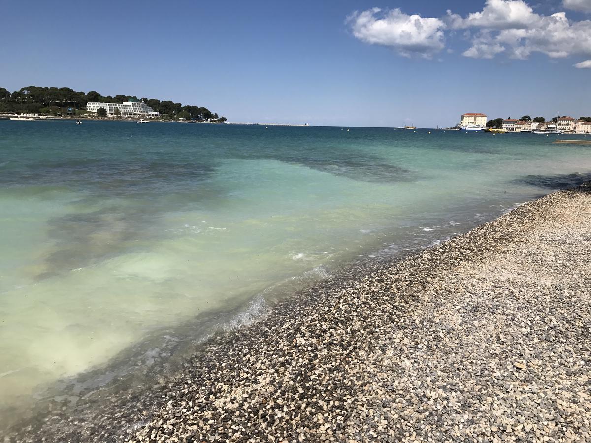 Apartment Bojan Poreč Dış mekan fotoğraf